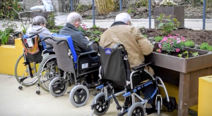 Wheelchair Accessible Planter